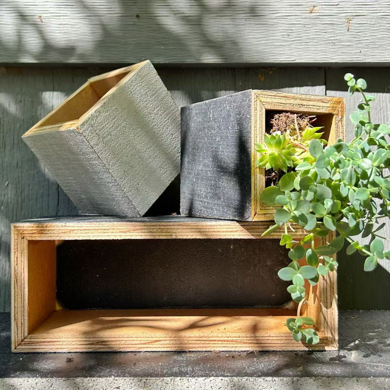 MATT Bloom sustainable concrete planter