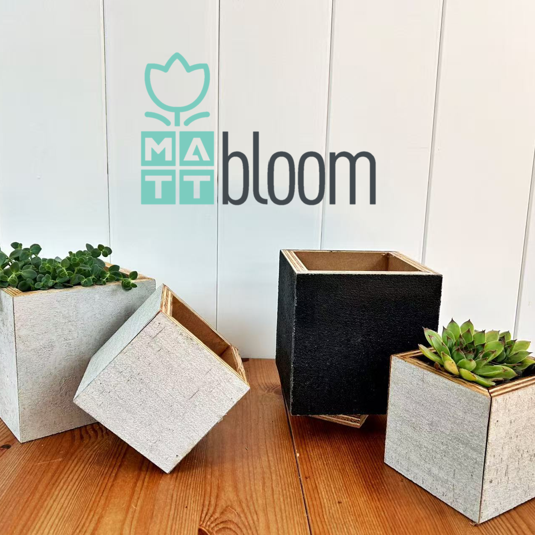 Matt Bloom planters on a wooden desk